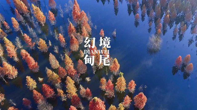 又来辣眼了！新《射雕》来袭，郭靖黄蓉杨康选角一个比一个离谱