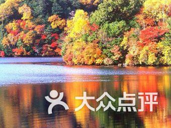 拯救隧道中的祖父